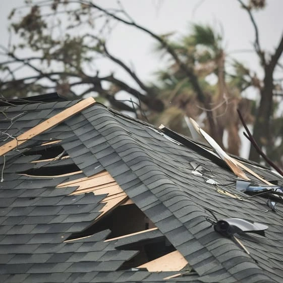 Expert d'assuré catastrophe naturelle
